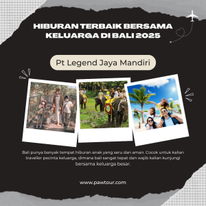 rekomendasi liburan bersama pawtour